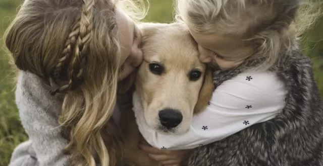 5 Best Dog Breeds for Families to Adopt